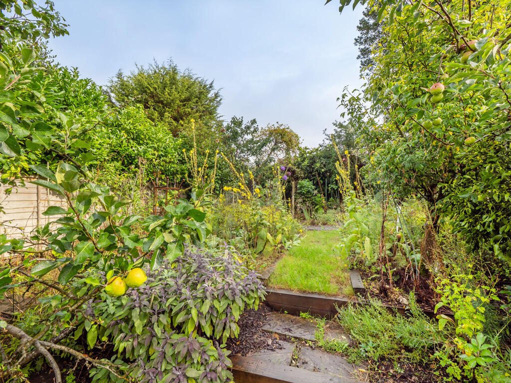 16HayesLane-8