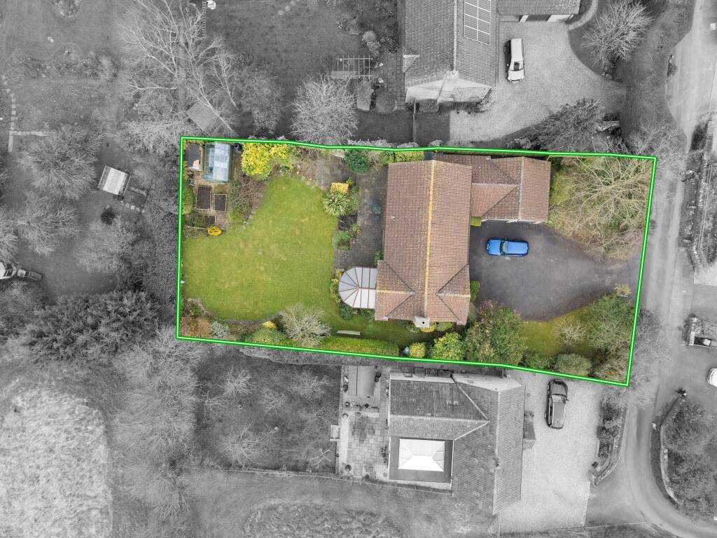 TEK HiRes 250310 001.jpeg