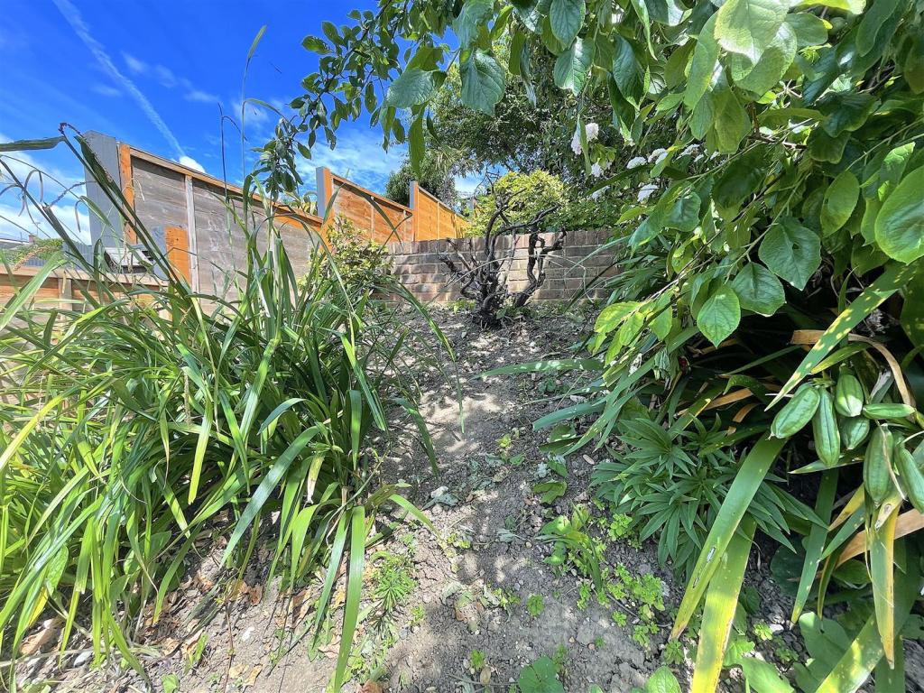 Garden (9).jpeg