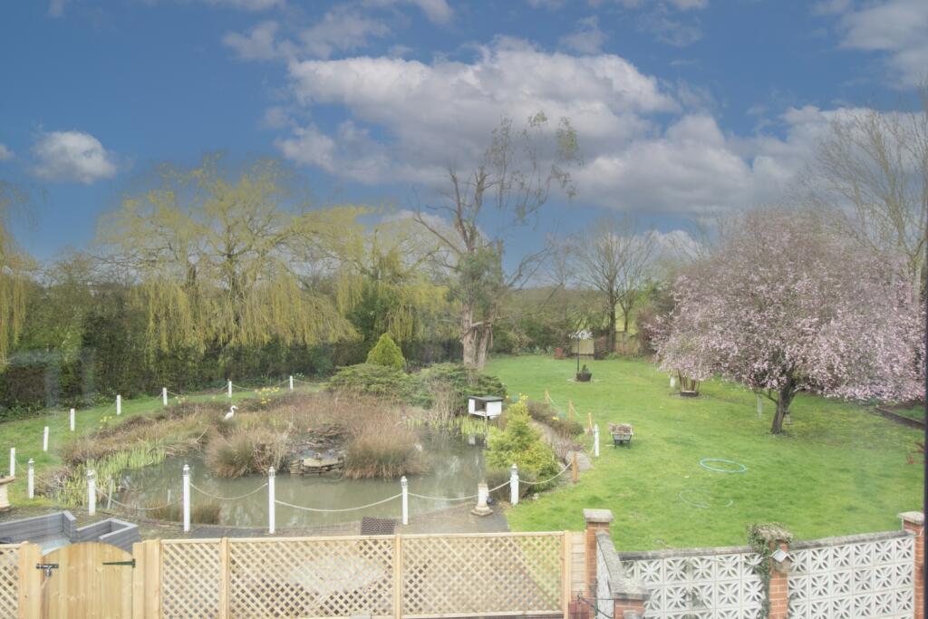 IMG_2984 copy