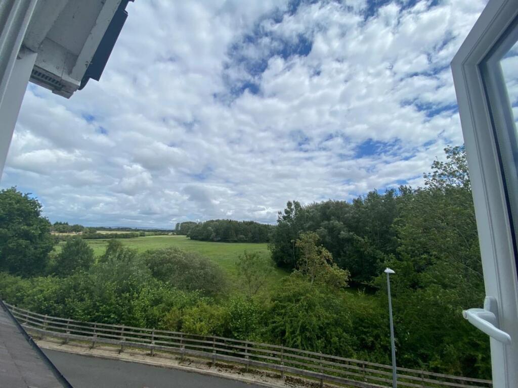 WhatsApp Image 2025-05-24 at 18.42.16.jpeg