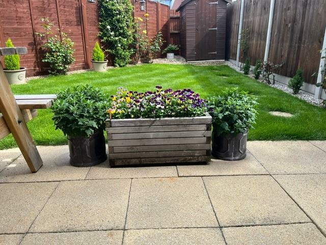 garden new 2.jpg