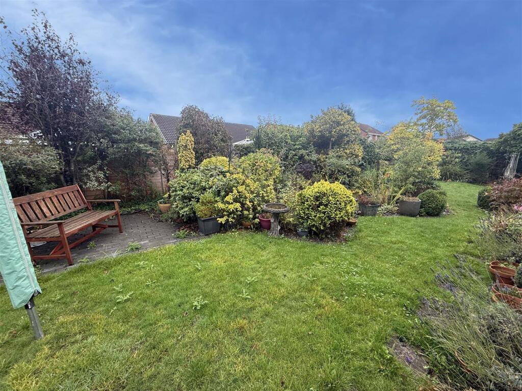 Back garden.jpg