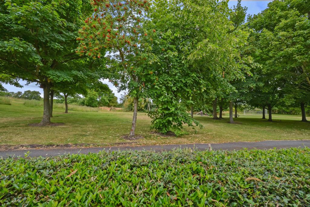 Nearby Park