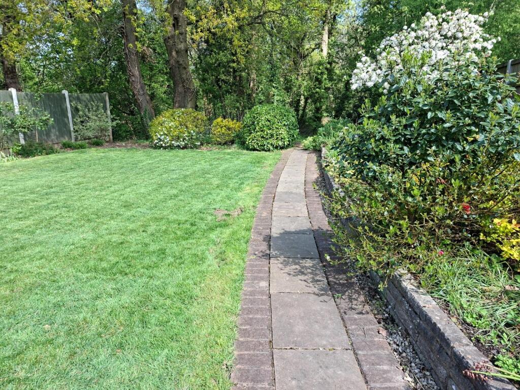 Back Garden 1 .jpg