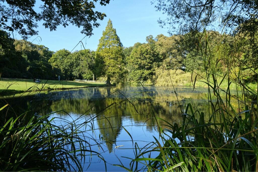 Frensham Pond
