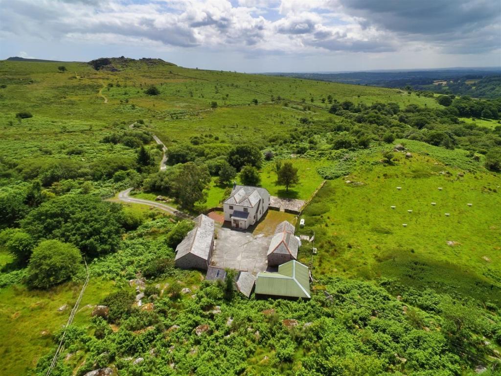 The Property