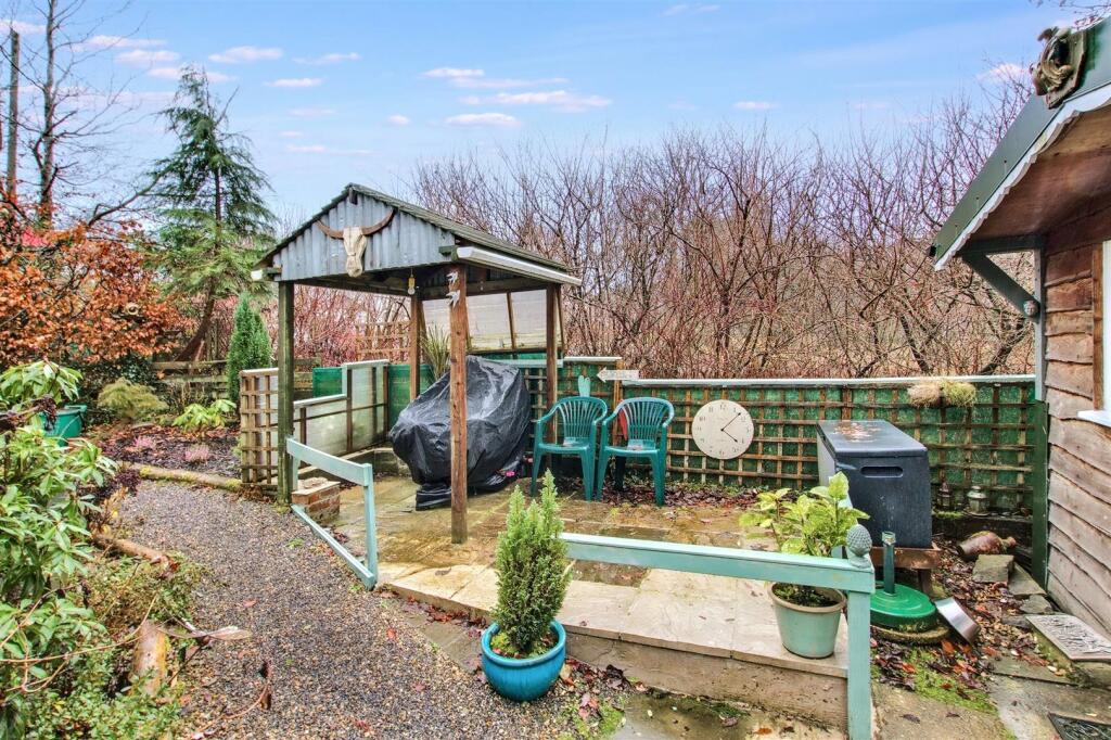 Area in front of Cabin