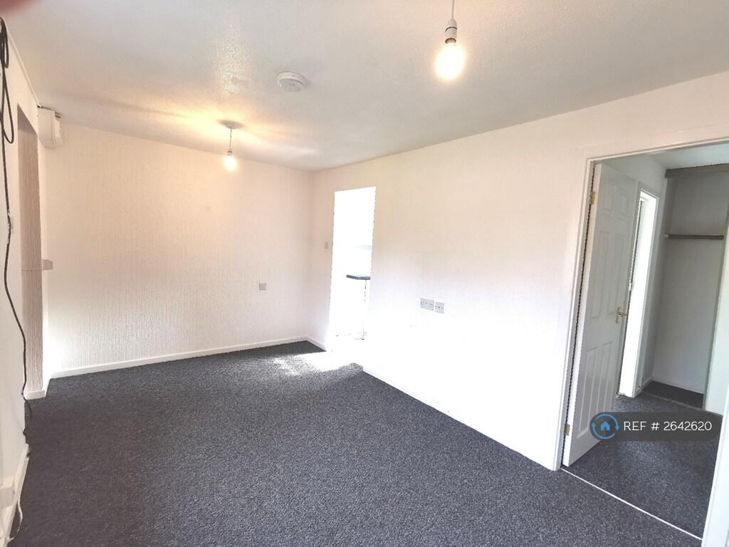 Living / Bedroom Area