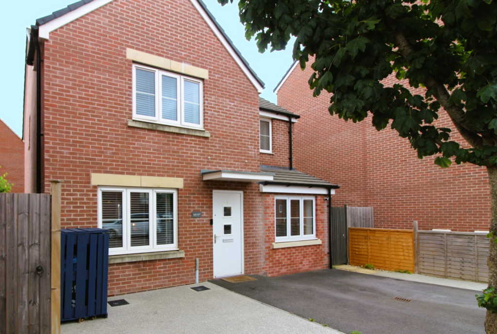 Untitled design (53)