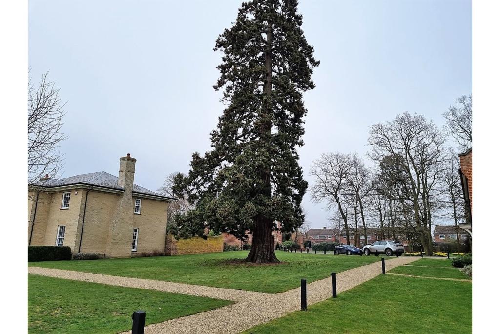 Communal Gardens