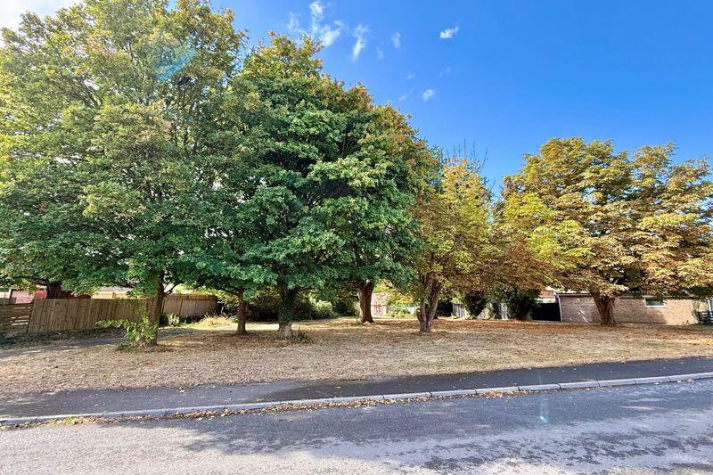 Green Space Opposite