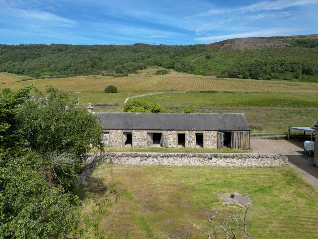 Steading