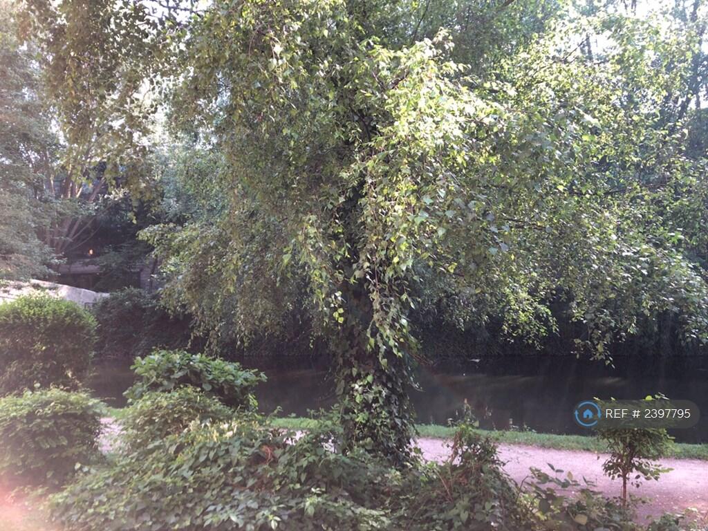 View From Lounge Window 