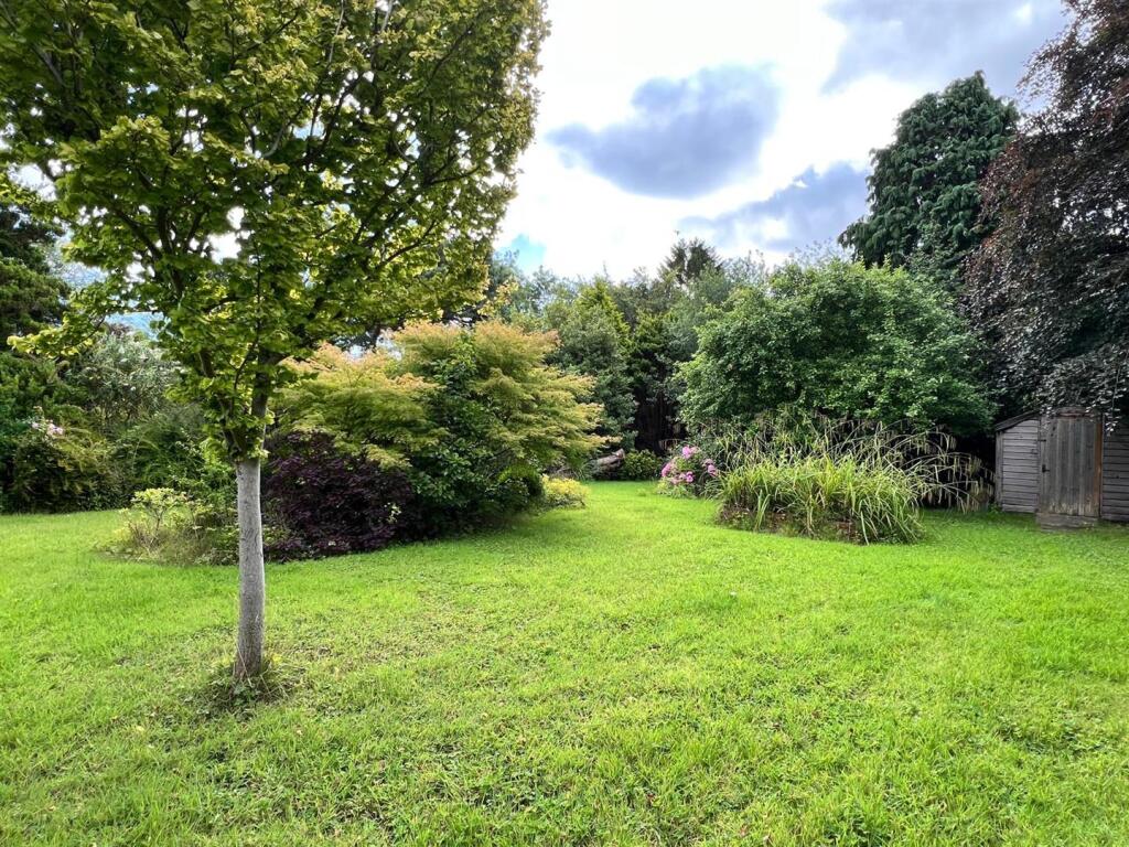 PHOTO-2025-07-29-10-22-23 2.jpeg