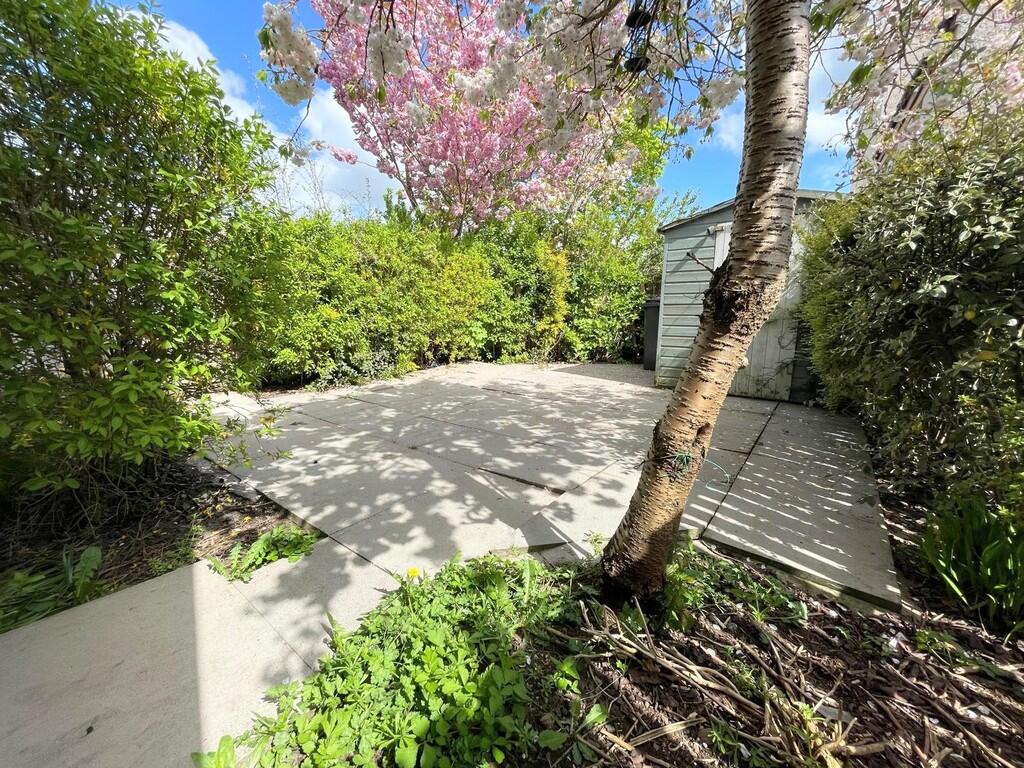 IMG-20250425-WA00...