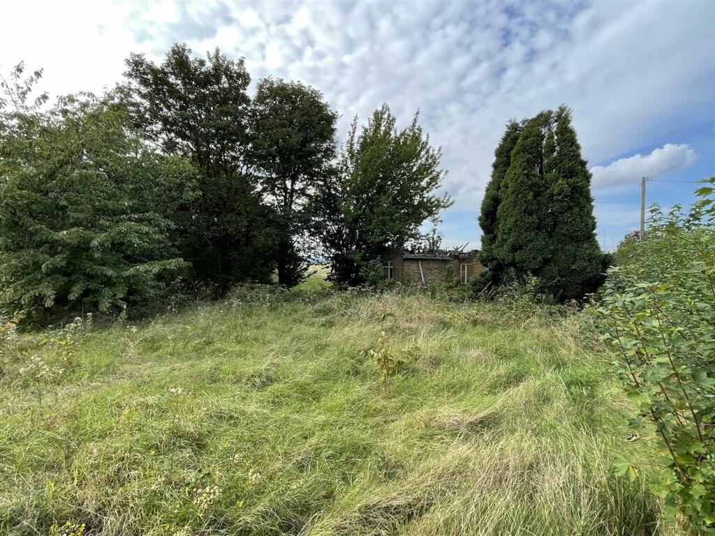 LOT 1 FRONT GARDEN.JPG