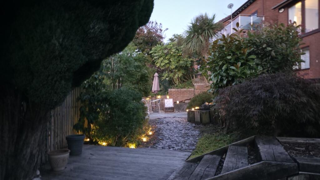 Evening Garden 2
