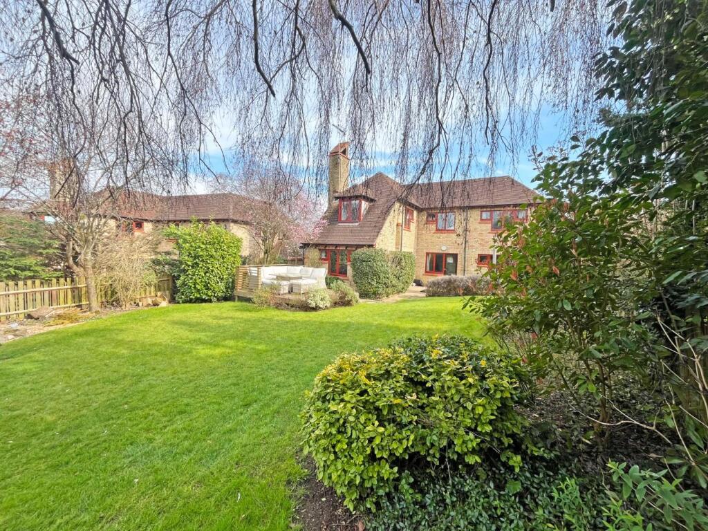 Garden3.jpg