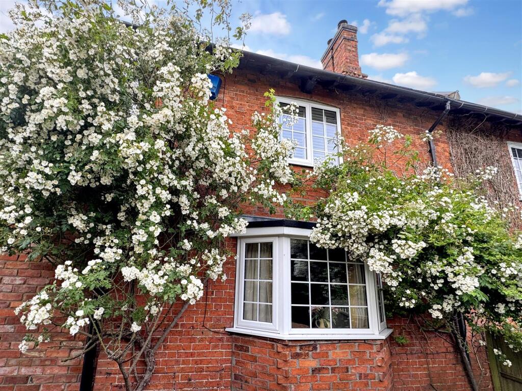 Front &amp; Climbing Rose.jpg