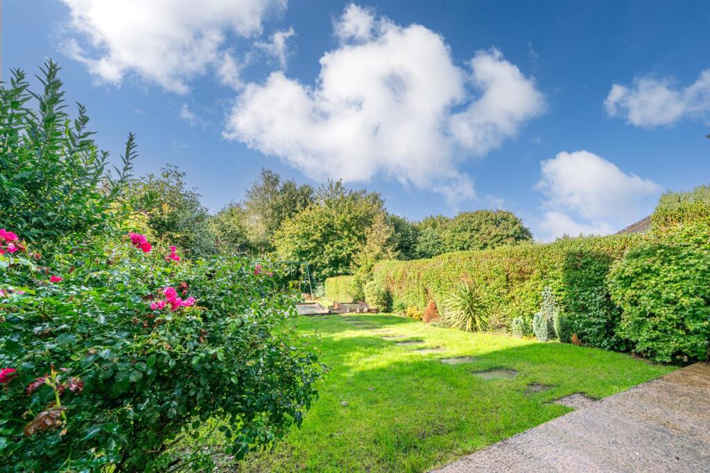 Garden 6