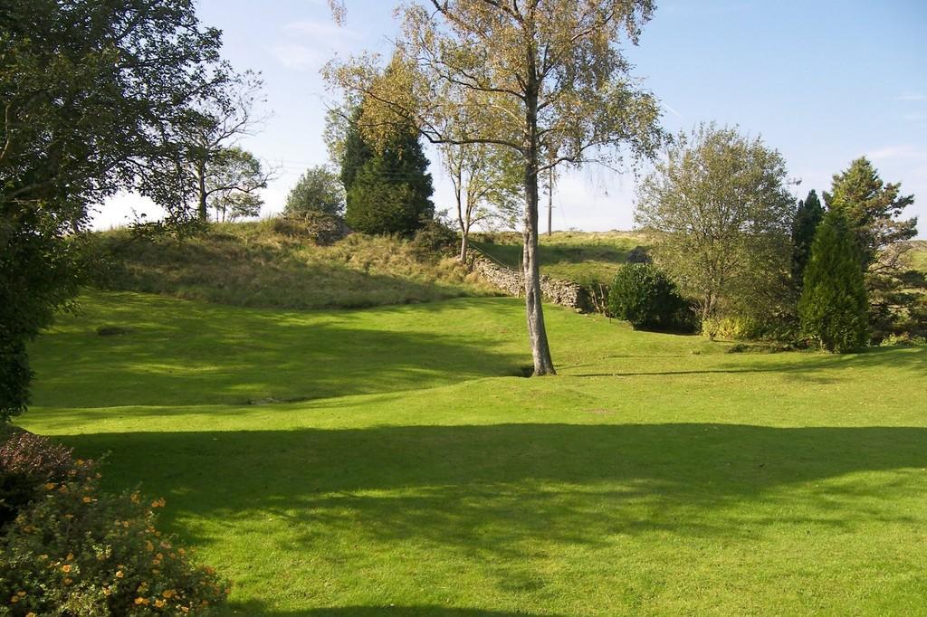 Rear garden area