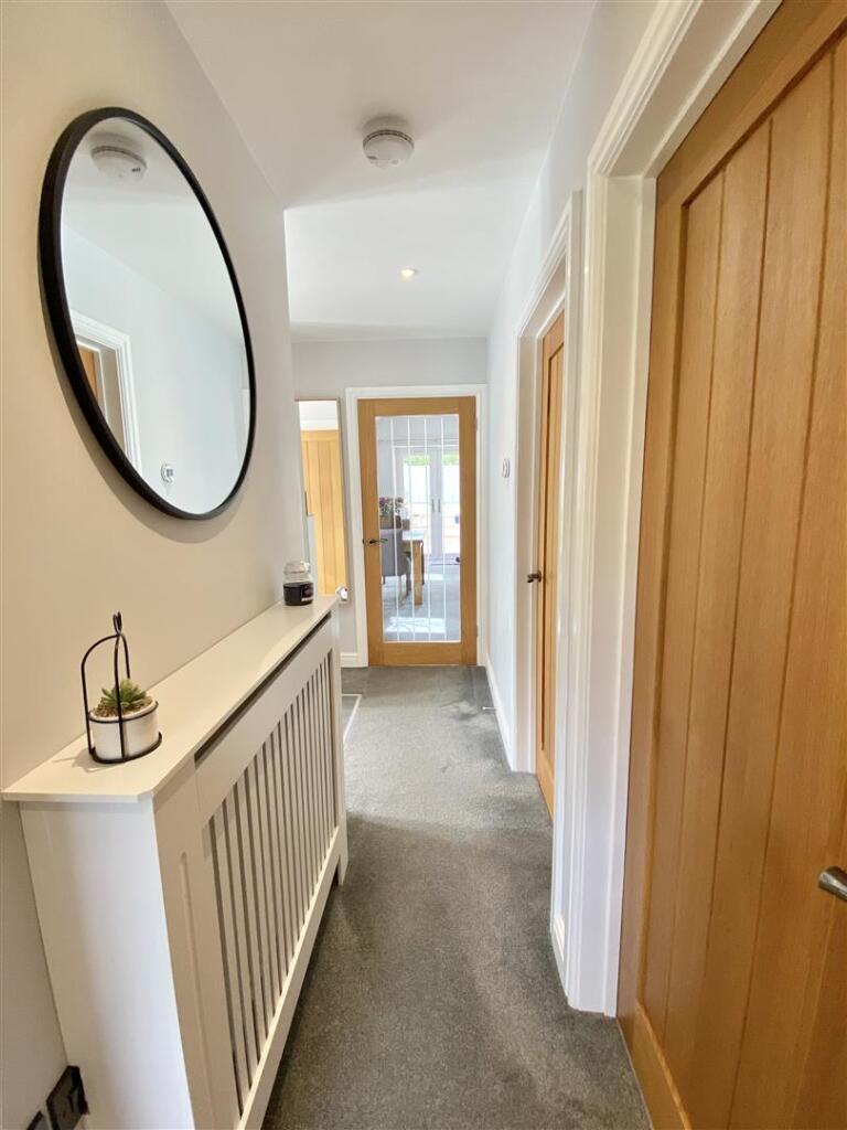 The Bluebells-26.jpg