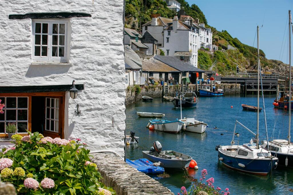 The harbour
