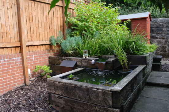 Rear Garden Pond