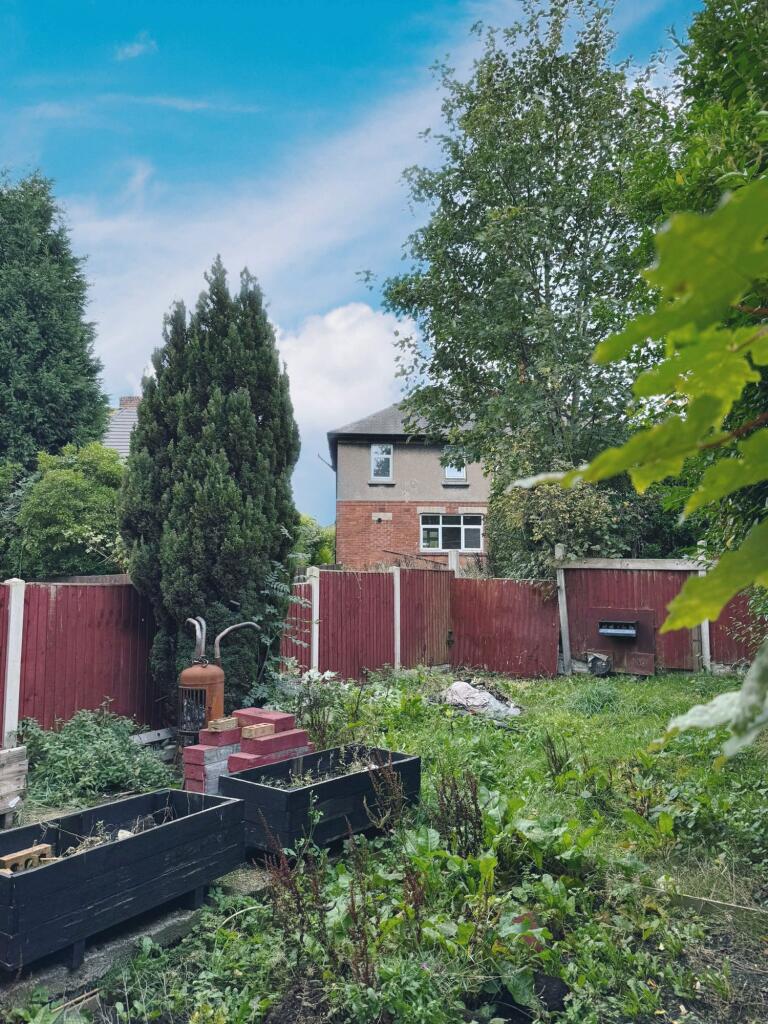 PHOTO-2025-10-08-13-07-24 T202510081412.jpg