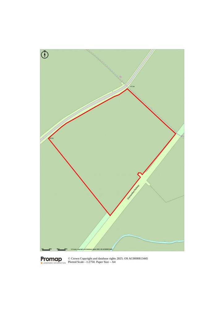Site Plan.jpg