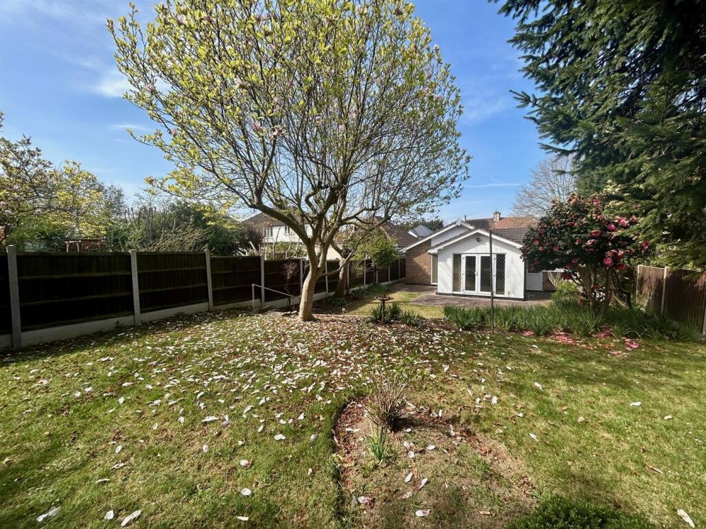 garden 4.jpg