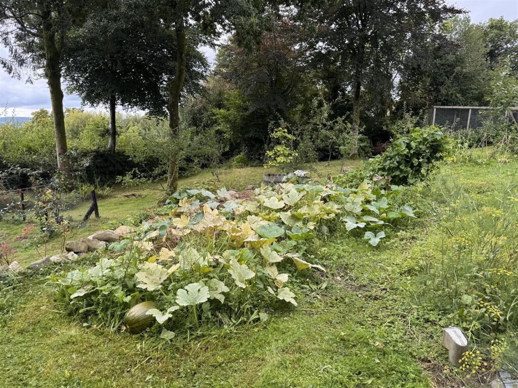 Vegetable Garden