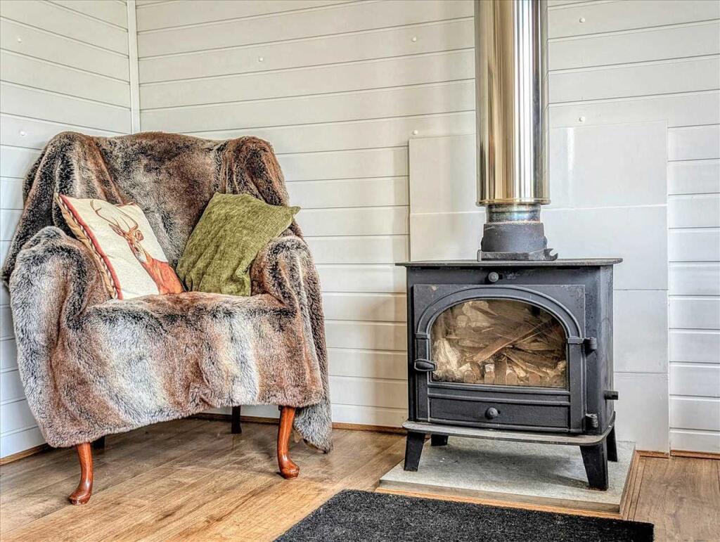 Log Burner