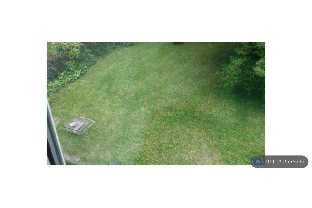 Garden 3