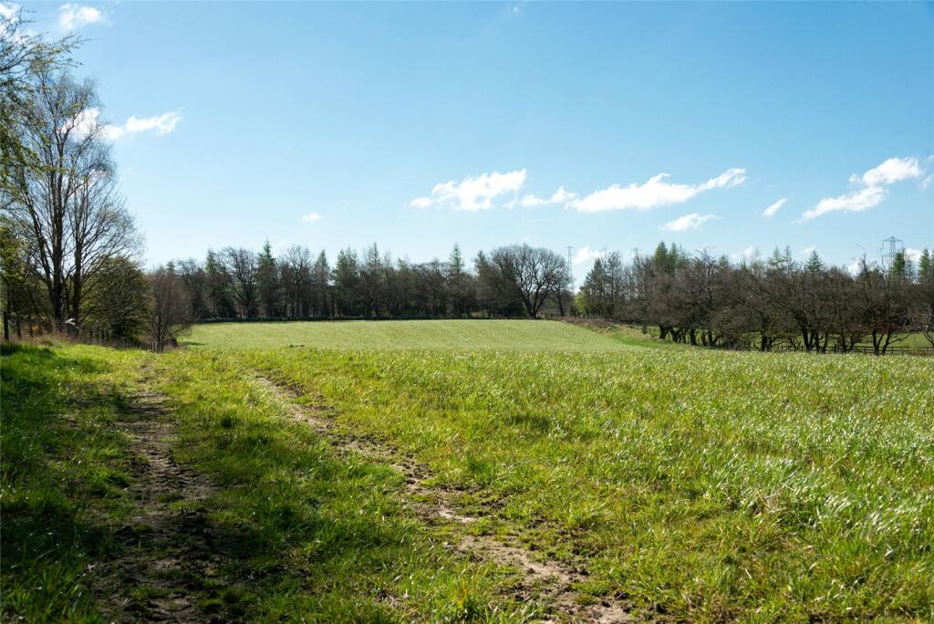 Lot 2 - The Field