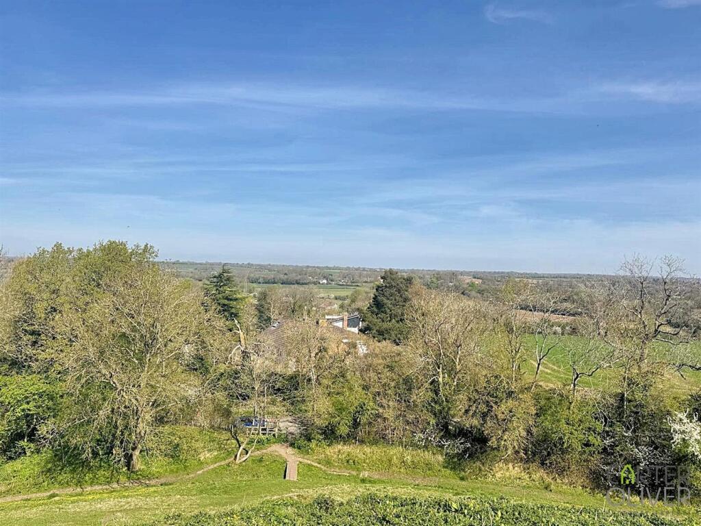 VIEW FROM THE TUMP