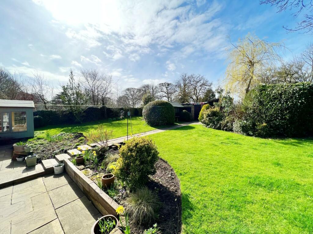 Garden pic 4.jpg