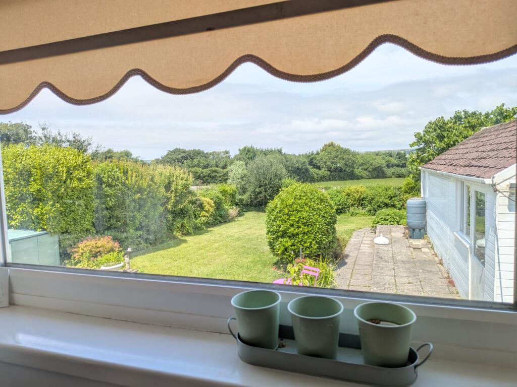 View of the garden from the kitchen
