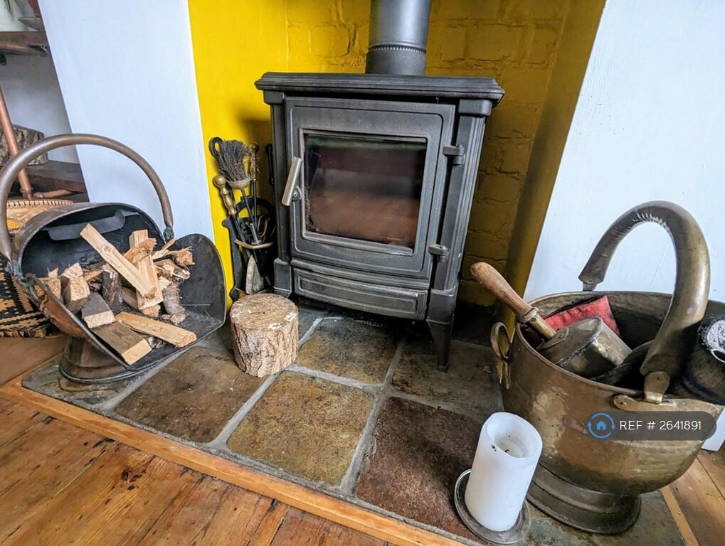 Dual Fuel Wood-Burner 