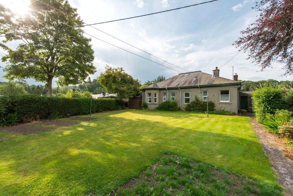 Back Garden