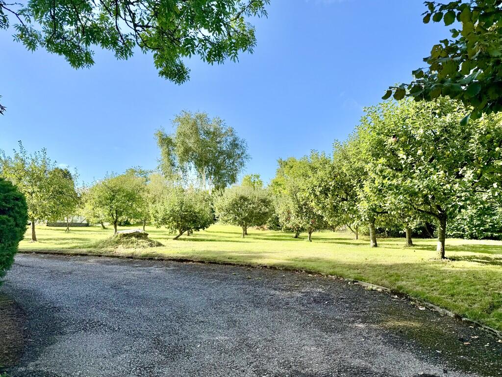 Orchard View