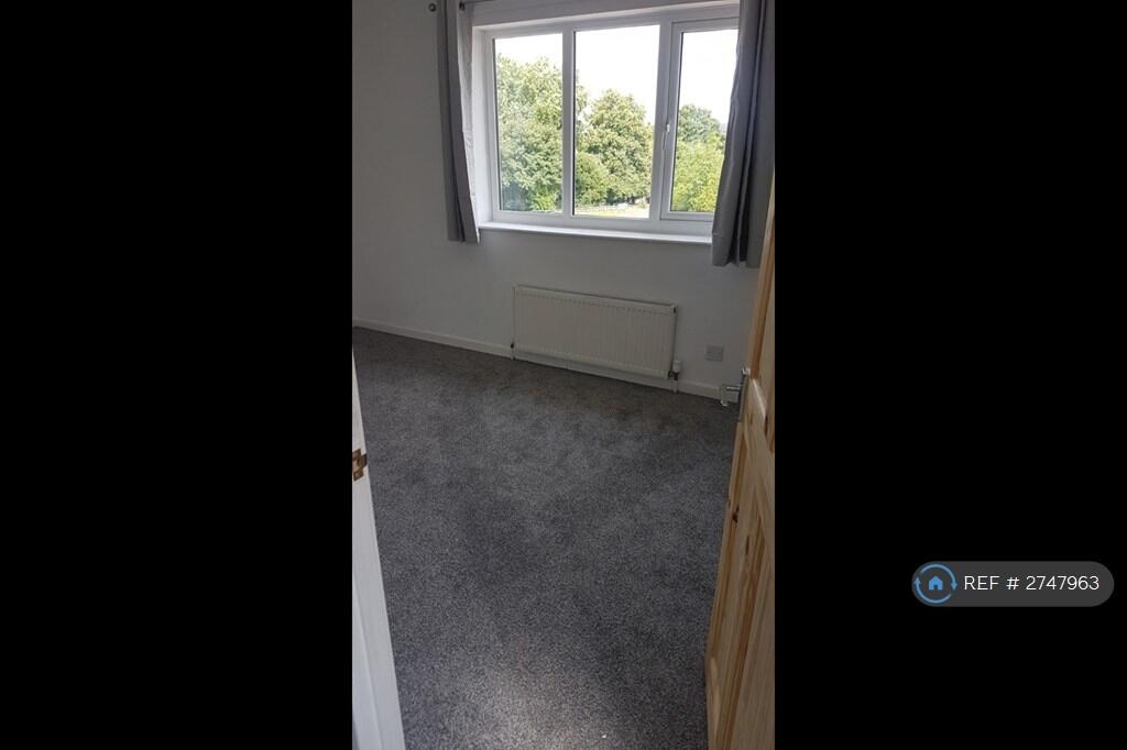 Back Bedroom