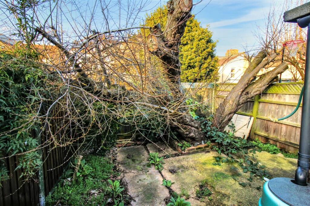 Rear Garden.jpg