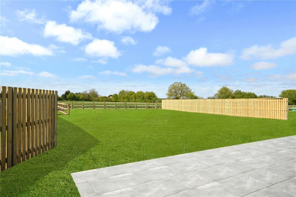 Grass CGI