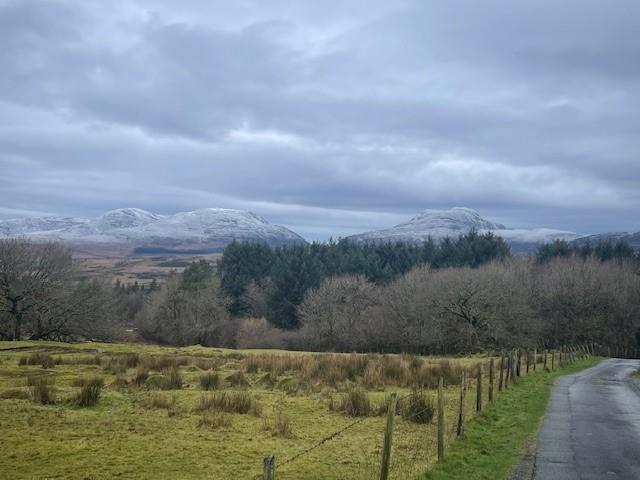View 2.jpg