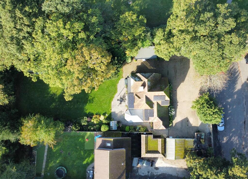 Drone elevated plot 1.JPG