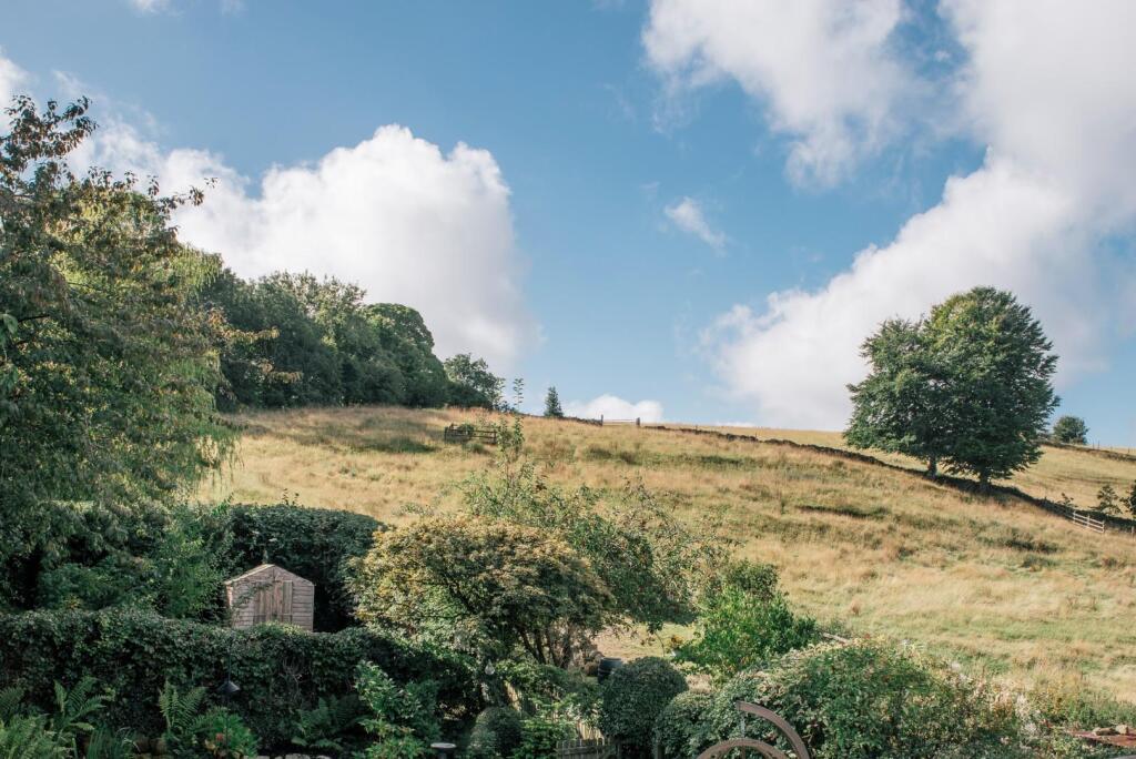 Garden and field