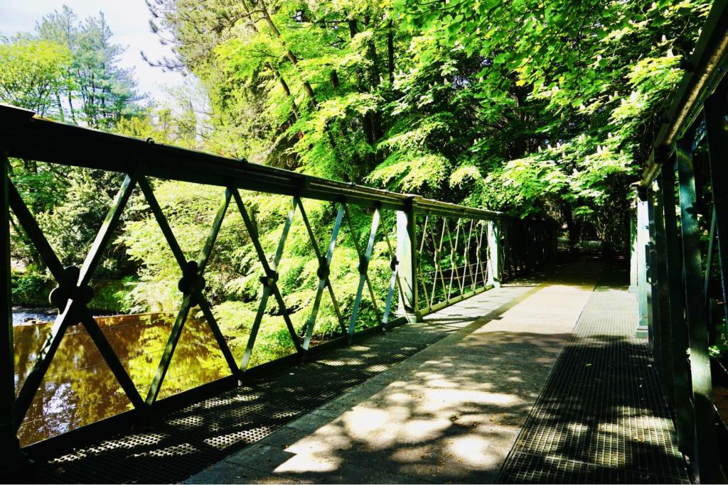 Nearby River