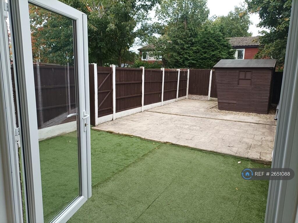 Back Garden